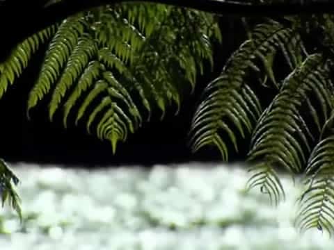 Vida A Partir Del Sol