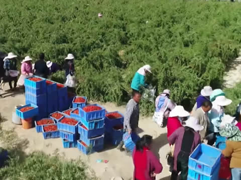 imagen Recorriendo El Campo Chino: Cambio De Era