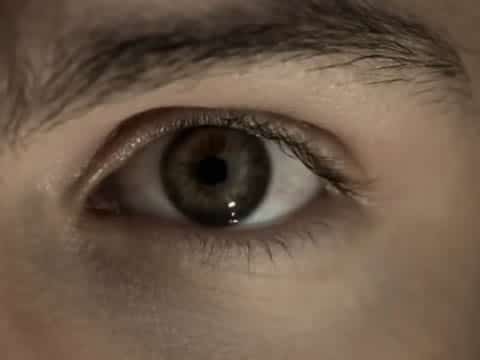 El Planeta Humano