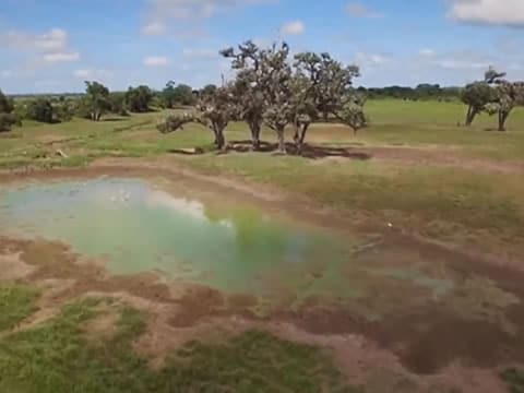 El Valle Indómito: La Llanura De Los Ébanos