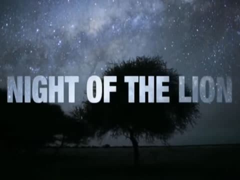 imagen La Noche Del León