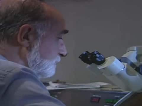 La Era De Los Virus
