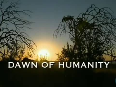 imagen La Cuna De La Humanidad