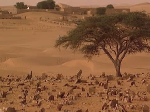 imagen Desiertos: Termómetros Del Futuro