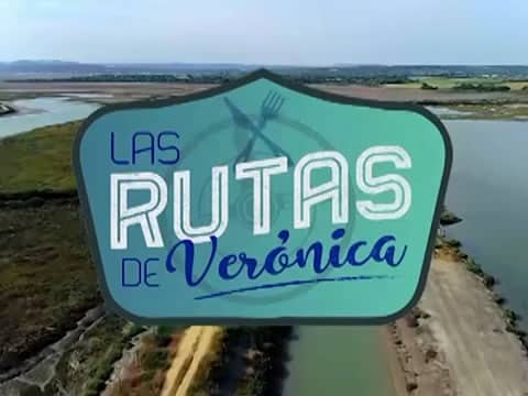 Las Rutas De Verónica: La Janda