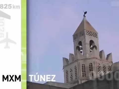 Madrileños Por El Mundo: Túnez