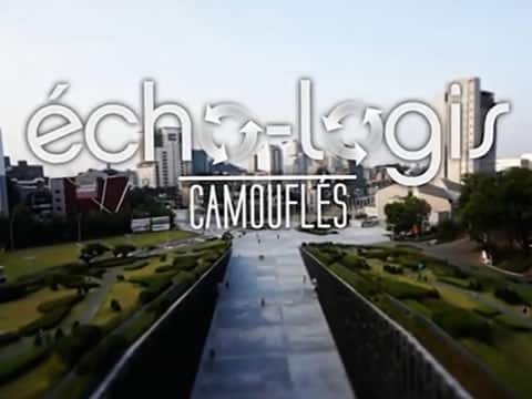 Construcciones Ecológicas: Camuflados
