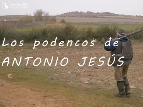 imagen Los Podencos De Antonio Jesús