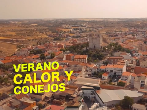 imagen Verano, Calor Y Conejos
