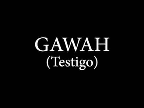 Gawah (Testigo)