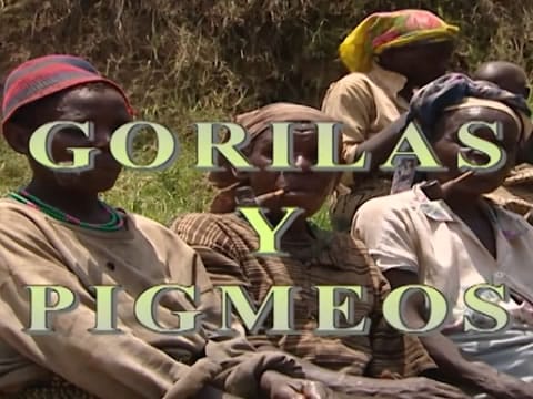 Otros Pueblos: Gorilas Y Pigmeos