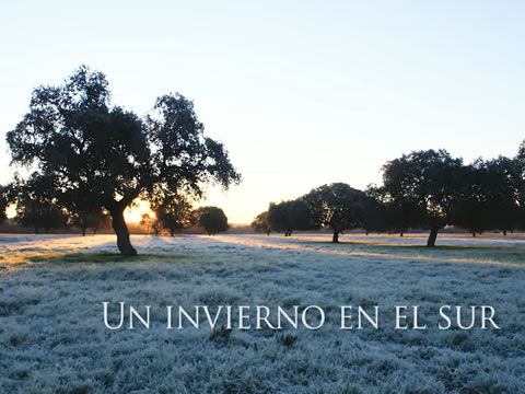 imagen Un Invierno En El Sur