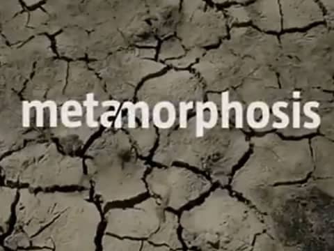 imagen Metamorfosis