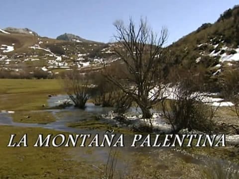 La Montaña Palentina