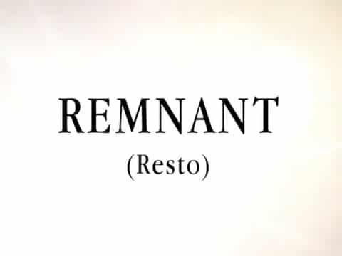 imagen Remnant (Resto)