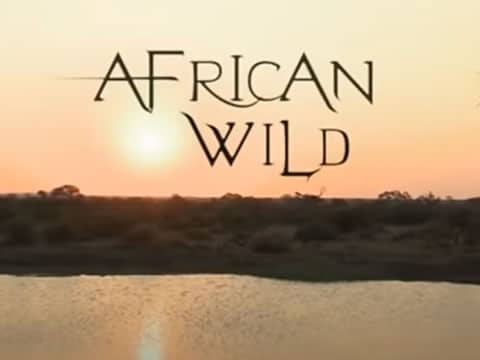África Salvaje