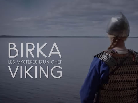 imagen La Guerrera Vikinga