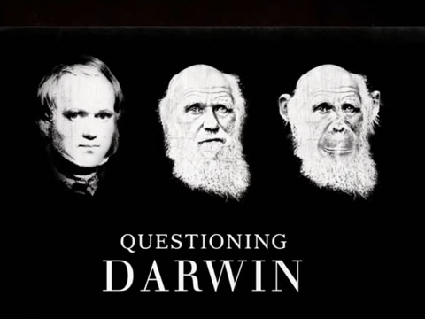 imagen Cuestionando A Darwin