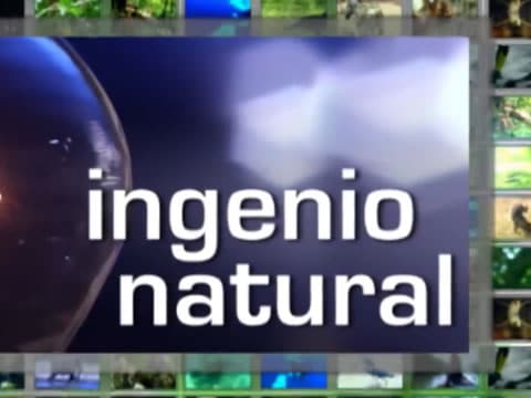 imagen Ingenio Natural: Cabos, Cuerdas, Nudos Y Redes