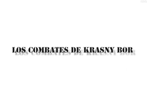 Los Combates De Krasni Bor