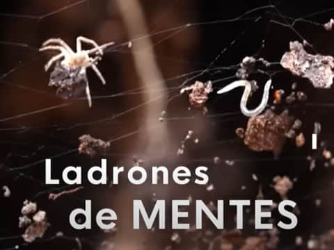 Ladrones De Mentes